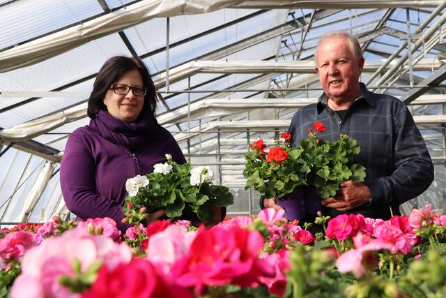 Angelika und Vater Jakob Sattler sind Gärtner aus Leidenschaft. Während Angelika Sattler den Betrieb führt, hilft Jakob Sattler, wo er nur kann. | Foto: Bettina Knafl