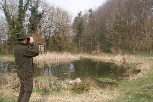 Für Bezirksjägermeister Franz Hochholzer ist die Natur ein Juwel, das beschützt werden muss. | Foto: Pöchmann