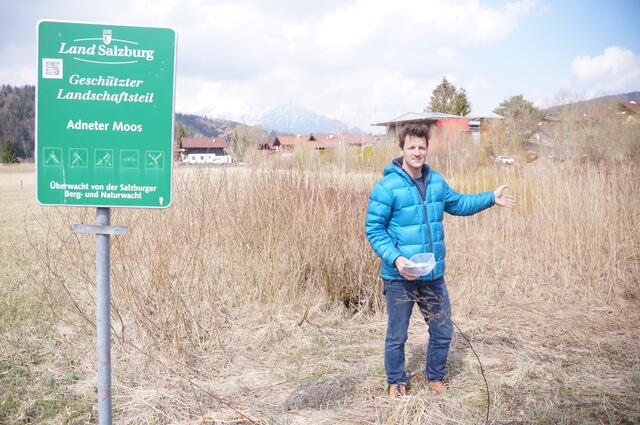 Willi Schwarzenbacher zeigt die Stellen im Adneter Moos, wo eigentlich Laichgewässer sein sollten.