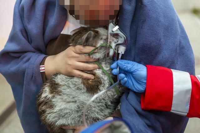 Die Feuerwehrleute retteten eine völlig verrußte Katze.