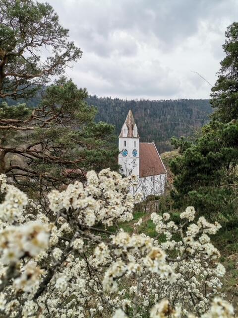 Julia ist unterwegs in Senftenberg.