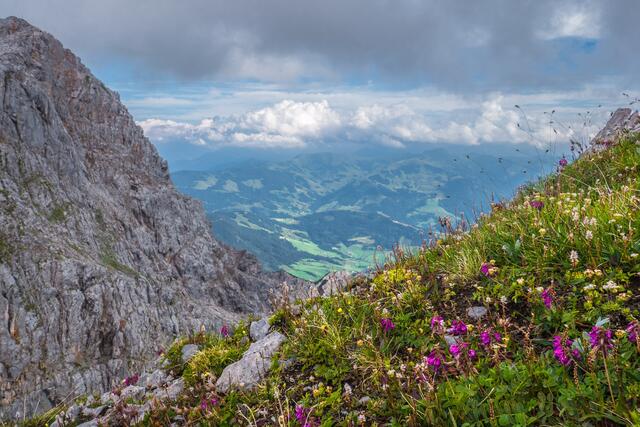 Welcher Berg hat das beste Bergpanorama zu bieten?