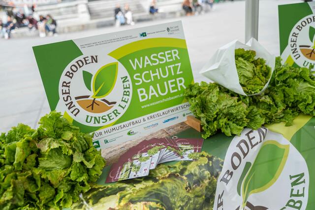 Grazer Krauthäuptel-Bauern setzen auf Wasserschutz. | Foto: LK-Stmk/Alexander Danner