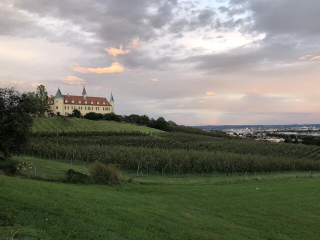 Schloss St.Martin | Foto: WOCHE