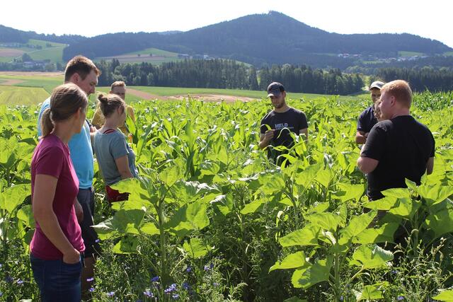 Das Biokompetenzzentrum beschäftigt sich gemeinsam mit Partnerbetrieben, allesamt Absolventen der Bioschule Schlägl, im dreijährigen Forschungsprojekt „Erosionsschutz und Ressourcenschonung im Biomaisanbau“ mit dieser Thematik.  | Foto: Biokompetenzzentrum Schlägl 