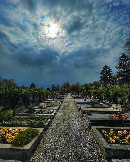 Friedhof Krems | Foto: Sarah Weninger