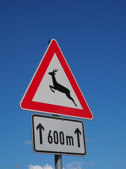 Wildwechsel: Diese Tafel sollten Autofahrer ernst nehmen. | Foto: pixabay