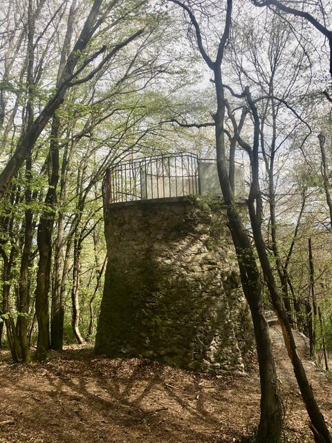 Die Kernstockwarte auf der Hubertushöhe hat beinahe 100 Jahre auf dem Buckel. Der klassische Wanderweg sorgt immer wieder für Probleme. | Foto: Grüne