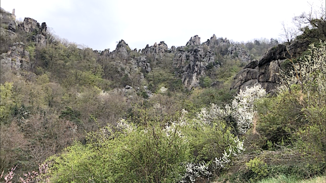 Der Klettergarten in Dürnstein ist einer der ältesten in der Wachau.