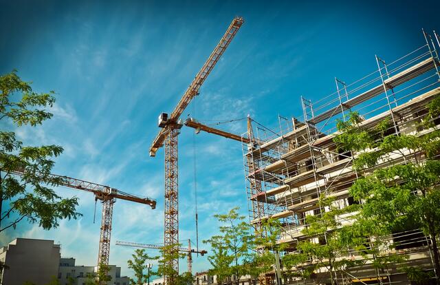 In Österreich werden jeden Tag rund 13 Hektar Grünland verbaut.