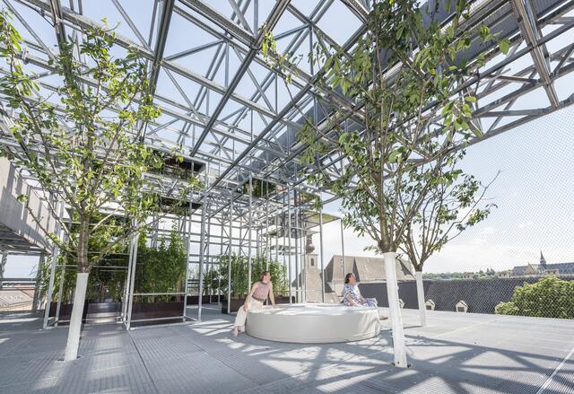 Die Installation "Under the Cherry Tree" von Eva Schlegel lädt zum Verweilen am Dach ein.  | Foto: Otto Saxinger