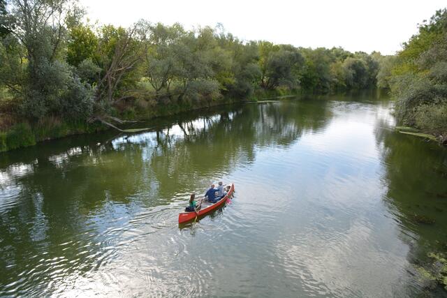 Die March-Thaya-Auen sind ein einzigartiges Naturjuwel und Standort des Vereins Auring. | Foto: Potmesil