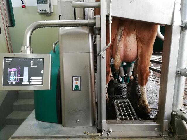 Melkroboter sammeln viele Daten zur Kuh, ihrer Gesundheit und Ernährung, aus denen Landwirte ihre Schlüsse ziehen können.