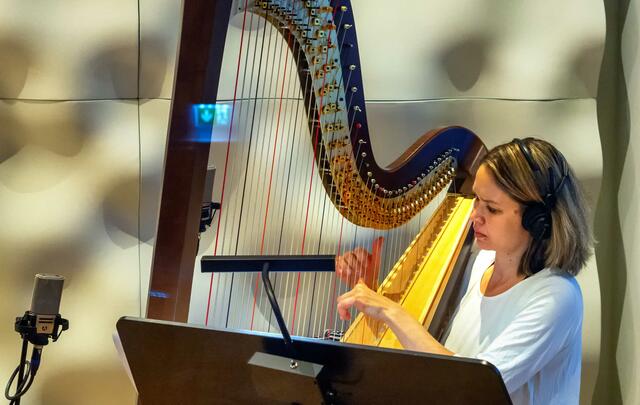 Im prekären Kultur-Arbeitsmarkt waren diese Aufnahmen für Orchestermusiker besonders wichtig.