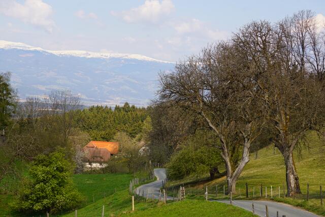 Manuel Gosch Foto Zusammenfassung Von St Georgen Im Lavanttal Lavanttal