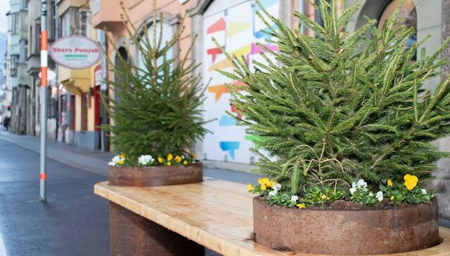 Viel Kritik und viele Fragen zu den Sitzmöbeln am Boulevard St. Nikolaus. | Foto: IKM