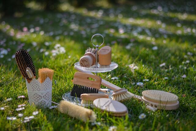 Plastikfreie Bürsten | Foto: Julia Hahnekamp