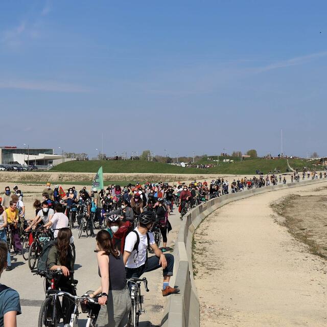 Foto: Fridays For Future Wien