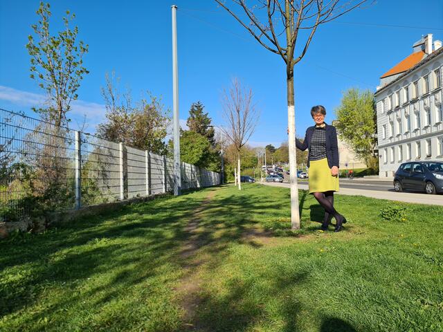 Bezirkschefin Silvia Nossek will an dieser Wiese am Lidlberg die Artenvielfalt in Währing genauer dokumentieren. | Foto: BV 18/Baubinder