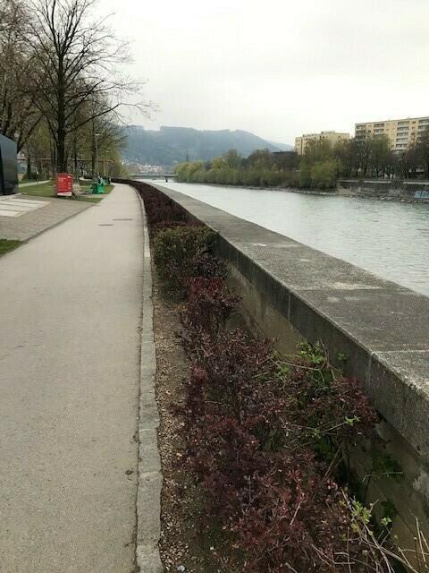 Sauberes Innsbruck Lokalaugenschein: Sonnedeck