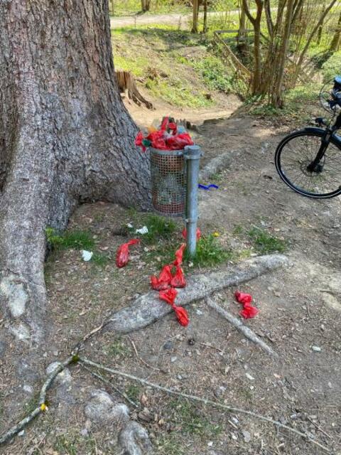 Sauberes Innsbruck Lokalaugenschein: schlechtes Beispiel beim Spielplatz Grüner Boden