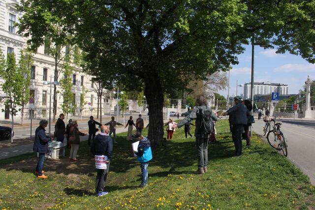 Der Ahornbaum in der Lothringerstraße soll gerettet werden, so die Forderung von Aktivisten. | Foto: privat