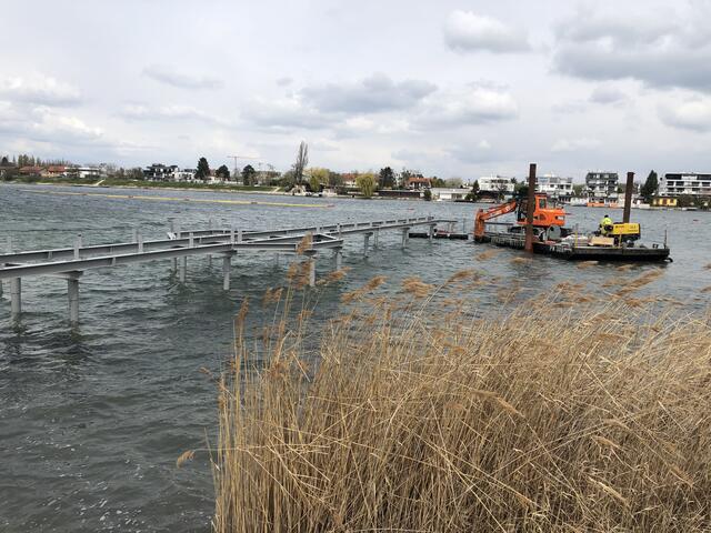 Im Strandbad Alte Donau entsteht gerade ein neuer Badesteg.