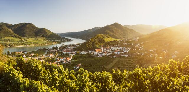 Spitz an der Donau | Foto: Niederösterreich-Werbung/Michael Liebert