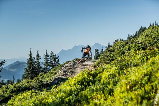 Seit letztem Jahr kann man in Österreichs größter Radregion von Saalfelden bis Fieberbrunn biken.  | Foto: Saalbach.com, Hansi Heckmair