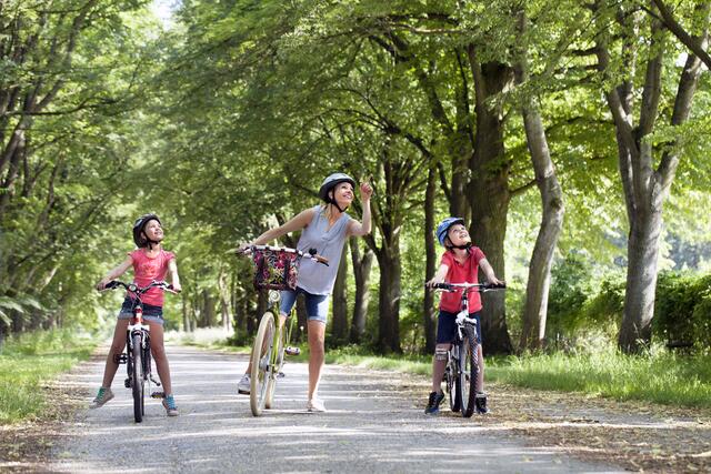 Und auf den eigens kreierten Kinderradwegen können auch die Kleinsten mit radeln.  | Foto: Weinviertel Tourismus / Wurnig