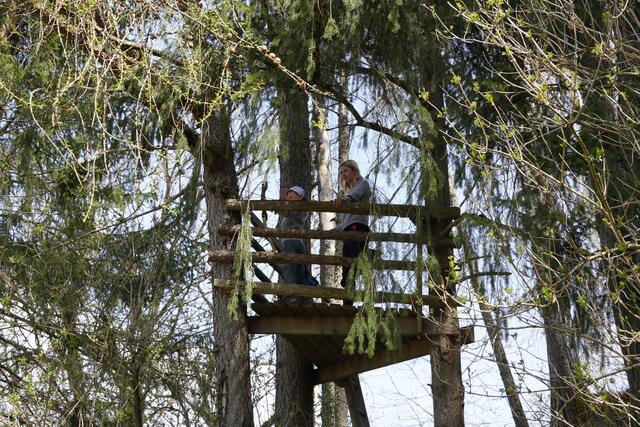 Auch vom Hochstand zeigte sich der 7-jährige als äußerst treffsicher.  | Foto: Weiss