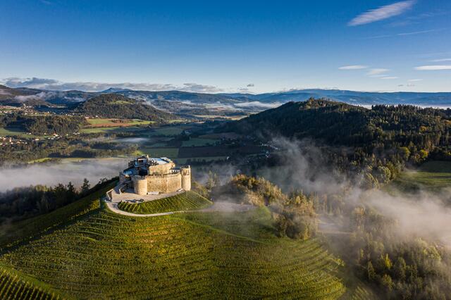 Die Festspiele Taggenbrunn besitzen mit der vom Unternehmerpaar Alfred und Andrea Riedl revitalisierten Burg Taggenbrunn eines der schönsten Aufführungsorte Österreichs