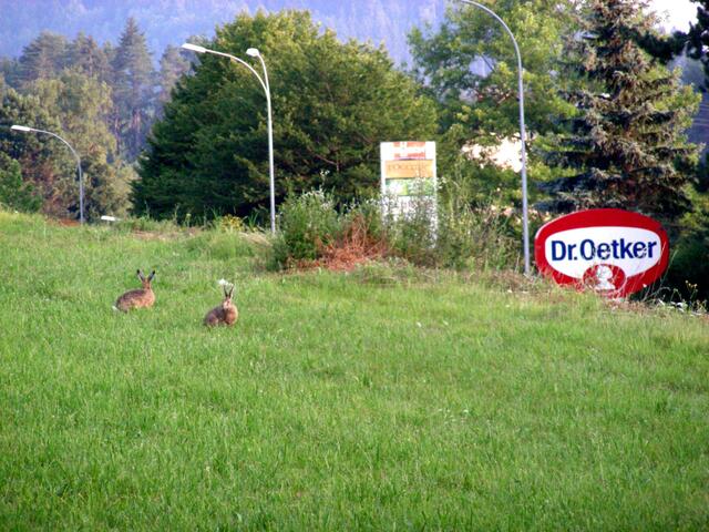 Schützenswert: Die "Oetker-Wiese" auf welcher das Projekt realisiert werden sollte. | Foto: Fotos: Privat