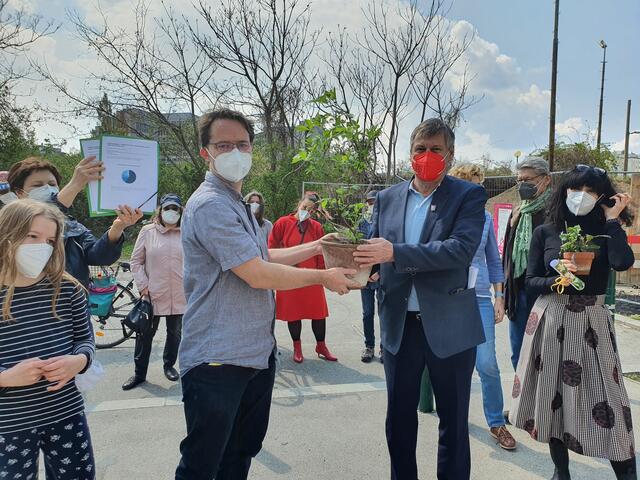 Genetiker Johannes Söllner übergab Bezirkschef Erich Hohenberger und Gemeinderätin Patricia Anderle die Petition für das Supergrätzel. Aber auch eine Holunderstaude: "Holunder hat im Volksglauben den Ruf, gegen böse Geister und anderes Ungemach zu schützen", so Söllner, "wir fanden das wäre ein gutes symbolisches Geschenk für den Bezirksvorsteher."
