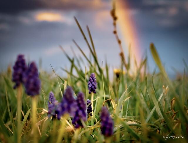 Aprilwetter