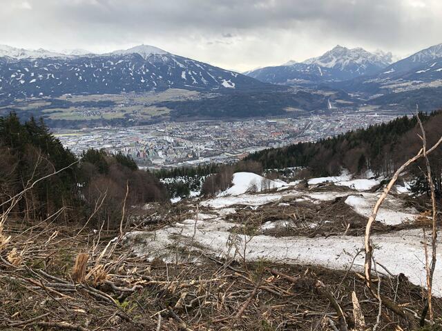 Enorme Schäden durch den Lawinenabgang 2019 im Bereich der Arzler Alm. | Foto: Stadtblatt
