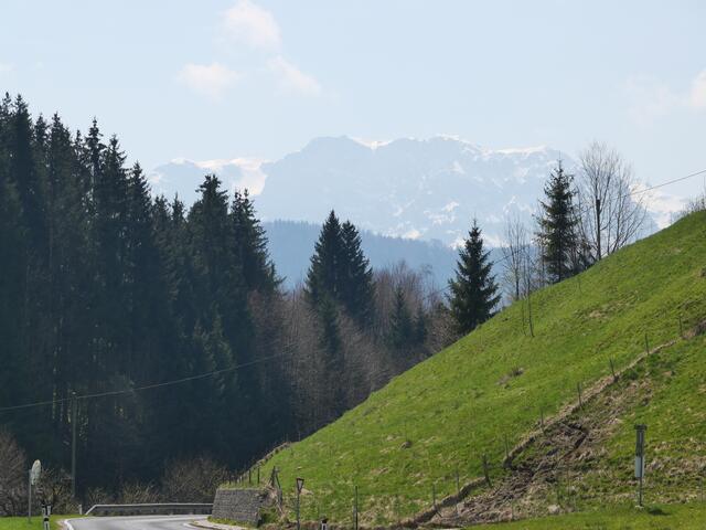 Blick aufs Höllengebirge
