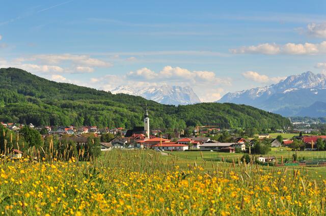 Der Tourismusverband Anthering ist in Frühlingsstimmung. Geplant sind viele neue Projekte. | Foto: TVB Anthering