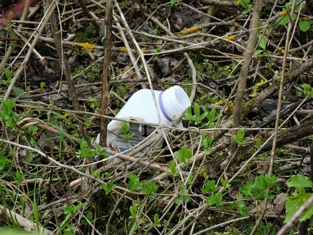 Bei der Gelegenheit werden auch gleich Getränkeflaschen, Dosen u.sw.  entsorgt!