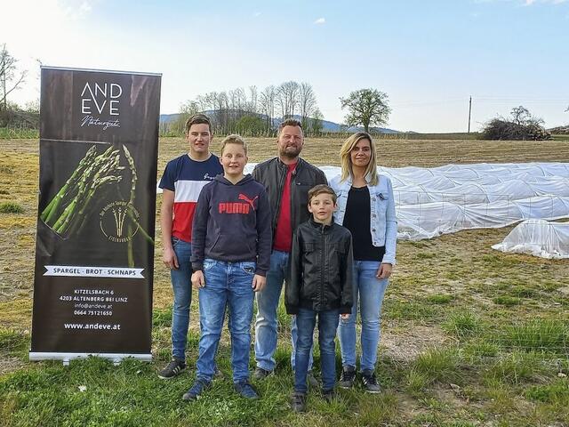 Die volle Ernte von Spargel ist erst nach dem dritten oder vierten Jahr möglich. Die Altenberger hoffen, dass ihr Plan aufgeht. | Foto: Höglinger