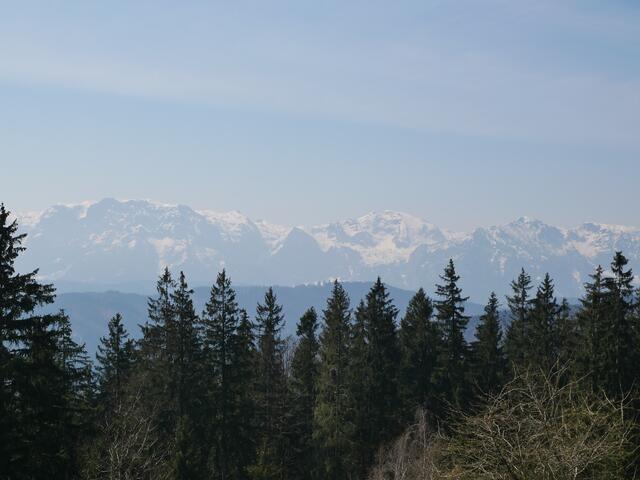 Blick aufs Höllengebirge