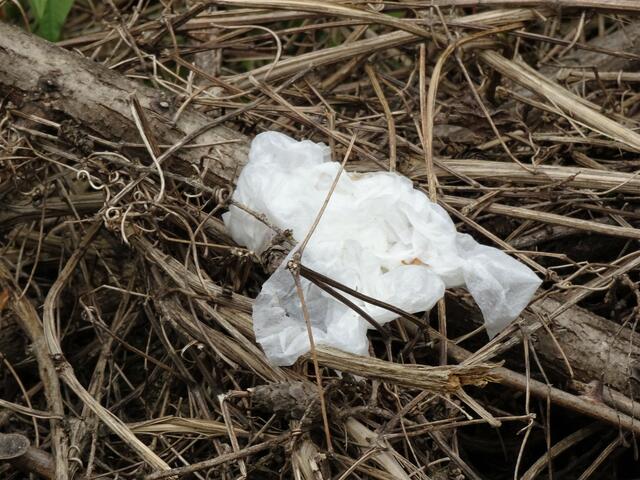 Es wird schön langsam echt mühselig, dauernd die Überbleibsel der "Notdurftverrichter" zu entsorgen. 