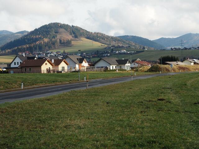 Auf dieser Wiese bei Trofaiach-Edling soll ein Hühnermastbetrieb errichtet werden. Die Proteste der Anrainer zeigen erste Erfolge, der Projektantrag wurde von der Stadtgemeinde Trofaiach abgelehnt. | Foto: Gaube