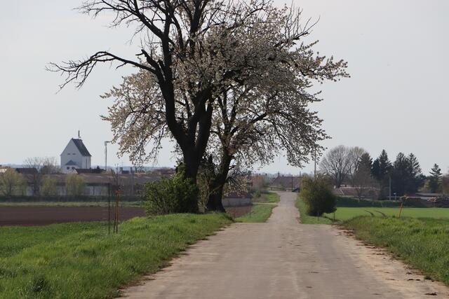 Foto: Potmesil