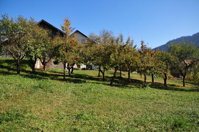 Der Erhalt der Streuobstwiesen zur Förderung der Vielfalt im regionalen Obstbau, wie hier in Fließ, war einer der Schwerpunkte der KLAR! Kaunergrat. | Foto: Ulrike Totschnig