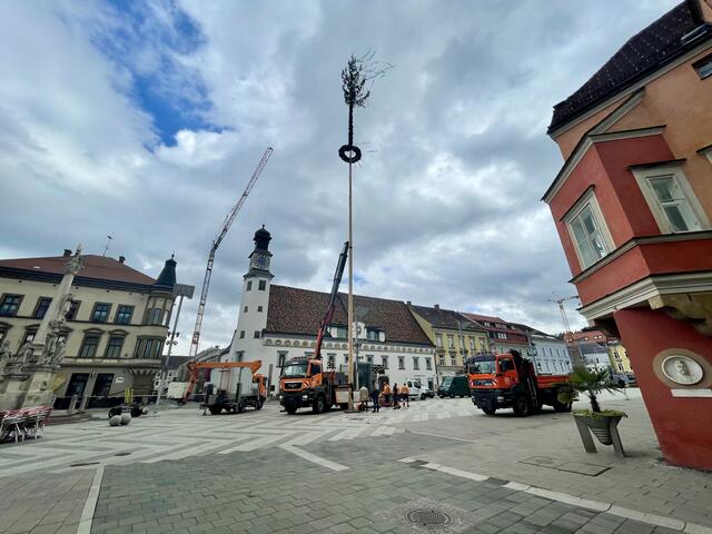 Der Maibaum wurde von den Bediensteten des Wirtschaftshofs Leoben am Hauptplatz aufgestellt. | Foto: Ivan Grbic