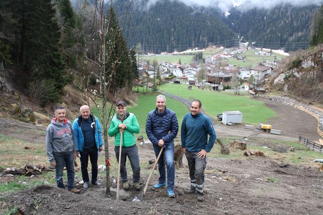 Freuten sich über die Aktion "Streuobstwiese", im Bild von links: Oskar Falch (Mitarbeiter Firma Tilg), Berater Rudolf Mattle, Betreuer Sebastian Tschiderer, Bgm. Manfred Matt und Andreas Falch (Gemeindemitarbeiter).  | Foto: Elisabeth Zangerl 