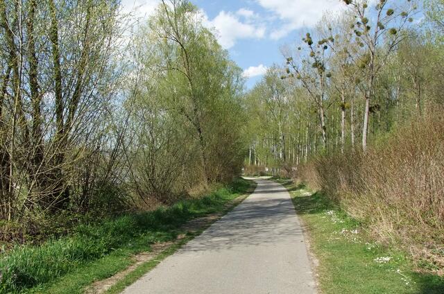 Der Donauradweg