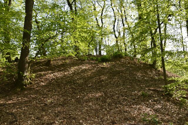 Foto: Michael Strini