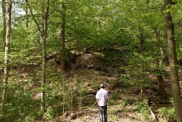 Foto: Michael Strini